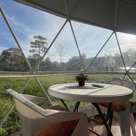 La Comarca River Glamping Dome Near Мануел Антонио Екстериор снимка
